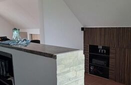 Casa 8 camere, 500 mp, teren, 500 mp, zona Cariera