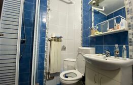 Garsoniera renovata, 22 mp, Calea Baciului