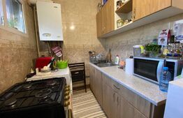 Garsoniera renovata, 22 mp, Calea Baciului