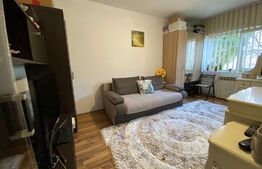 Garsoniera renovata, 22 mp, Calea Baciului