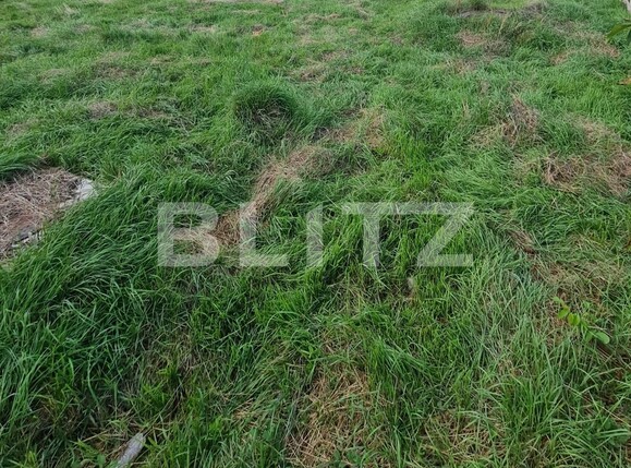 Teren de vânzare Floreşti - 126505TV | BLITZ Cluj-Napoca | Poza1