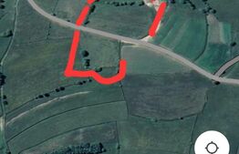 4 parcele de teren, suprafata totala 16.800 mp, Marisel