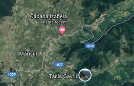 4 parcele de teren, suprafata totala 16.800 mp, Marisel