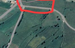 4 parcele de teren, suprafata totala 16.800 mp, Marisel