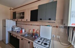Oportunitate! Apartament cu 1 camera, 41mp, etaj intermediar, parcare subterana zona Corneliu Coposu