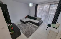 Apartament modern, 3 camere, 56mp, decomandat, etaj 1, zona Teilor