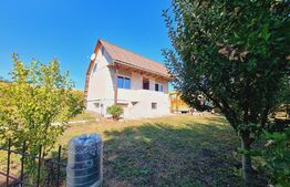 Teren Fanate / Drumul principal