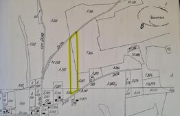 Teren Fanate / Drumul principal