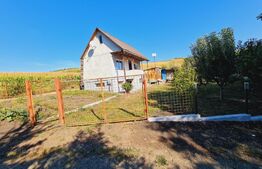 Teren Fanate / Drumul principal