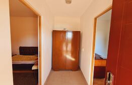 Teren Fanate / Drumul principal