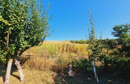 Teren Fanate / Drumul principal