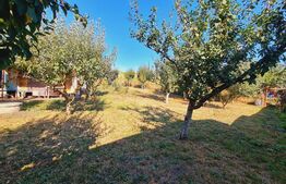 Teren Fanate / Drumul principal