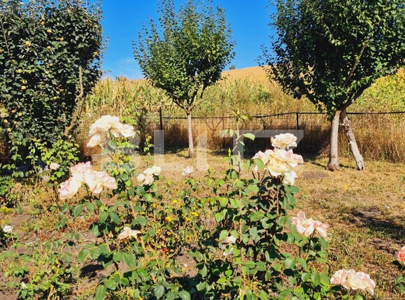 Teren de vânzare Exterior Nord - 126596TV | BLITZ Cluj-Napoca | Poza9