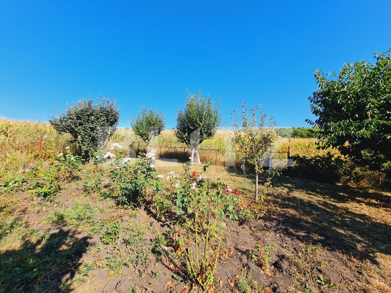 Teren de vânzare Exterior Nord - 126596TV | BLITZ Cluj-Napoca | Poza7