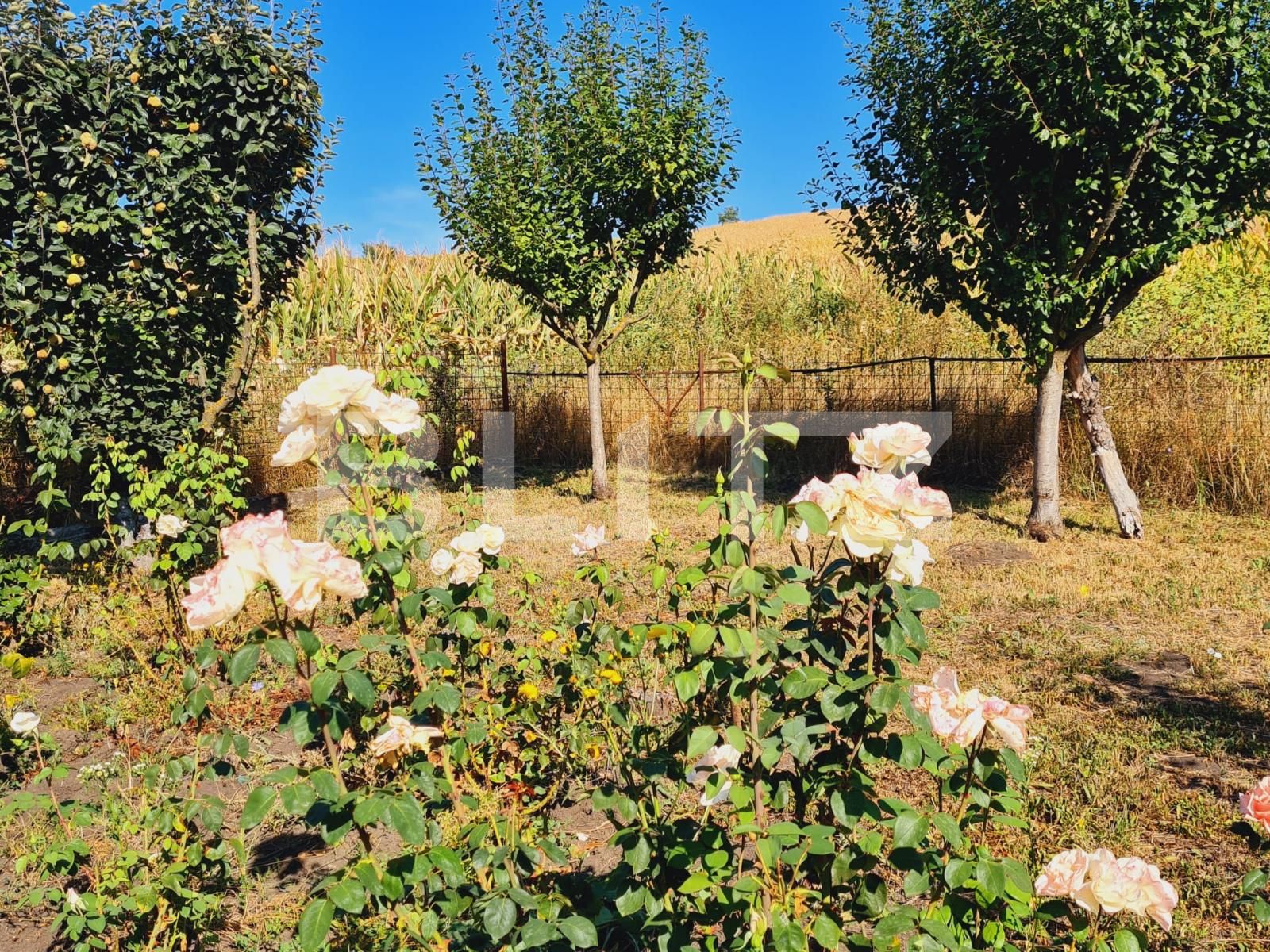 Teren de vânzare Exterior Nord - 126596TV | BLITZ Cluj-Napoca | Poza9