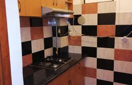 Apartament 1 camera, cu teren, pod mansardabil, pivniță, loc de parcare, AFI Brașov