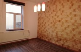 Apartament 1 camera, cu teren, pod mansardabil, pivniță, loc de parcare, AFI Brașov