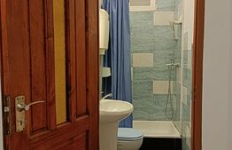 Apartament 1 camera, cu teren, pod mansardabil, pivniță, loc de parcare, AFI Brașov