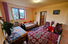 Apartament 2 camere, 30mp, etaj intermediar, zona Diana