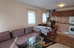 Oportunitate! Exclusivitate! Apartament 2 camere, mobilat si utilat, parcare, zona Cetatii