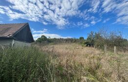 Casa 3 camere, 100 mp utili, 4200 mp teren, front 34 ml, comuna Garbau