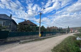 Casa 3 camere, 100 mp utili, 4200 mp teren, front 34 ml, comuna Garbau