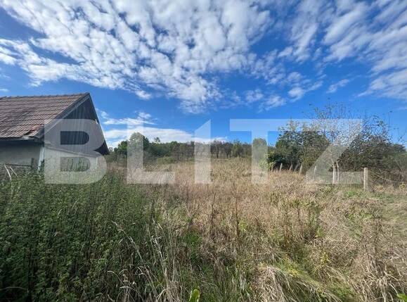 Casa de vânzare 3 camere Exterior Nord - 126667CV | BLITZ Cluj-Napoca | Poza7