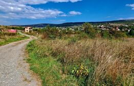 Teren intravilan 1000mp,in Dambul Rotund