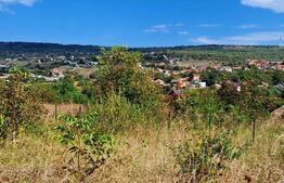 Teren intravilan 1000mp,in Dambul Rotund