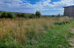 Teren intravilan 1000mp,in Dambul Rotund