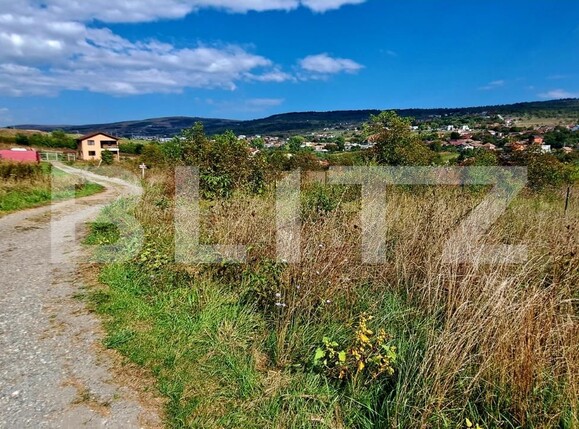 Teren de vânzare Dambul Rotund - 126737TV | BLITZ Cluj-Napoca | Poza4