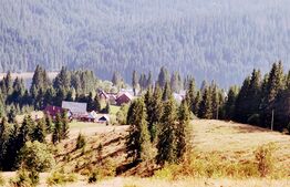 COMISION 0%- Parcelă, 6000 mp intravilan, utilități pe teren, Dealu Botii, comuna Beliș