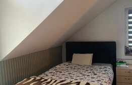 Casa individuala la cheie, 3 camere, 140mp, zona Hasdeu