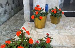 Casa individuala la cheie, 3 camere, 140mp, zona Hasdeu