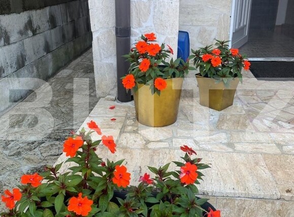 Casa de vânzare 3 camere Zorilor - 126796CV | BLITZ Cluj-Napoca | Poza6