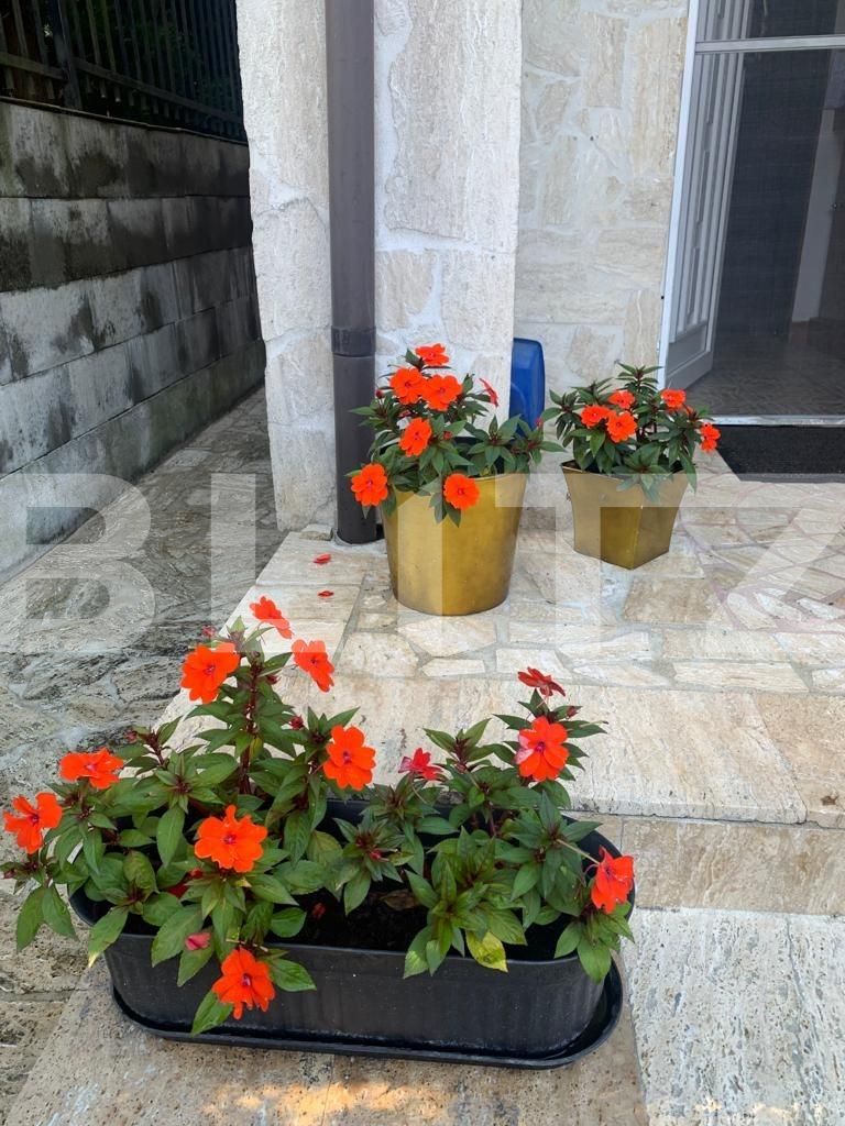 Casa de vânzare 3 camere Zorilor - 126796CV | BLITZ Cluj-Napoca | Poza6