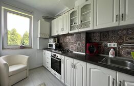 Apartament 3 camere, 54 mp, finisat, mobilat, zona Traian Vuia