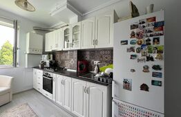 Apartament 3 camere, 54 mp, finisat, mobilat, zona Traian Vuia