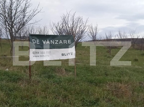Teren de vânzare Chinteni - 126890TV | BLITZ Cluj-Napoca | Poza2