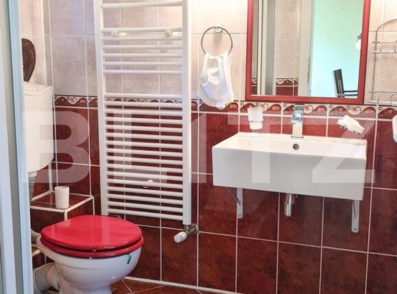 Casa de închiriat 6 camere Drumul Poienii - 126891CI | BLITZ Brașov | Poza8