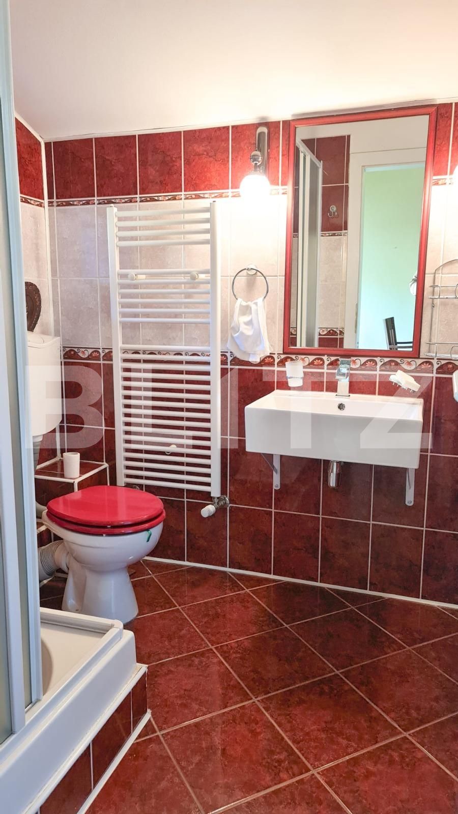 Casa de închiriat 6 camere Drumul Poienii - 126891CI | BLITZ Brașov | Poza8