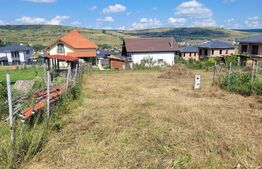 Teren intravilan, 741mp, autorizatie de construire casa individuala, Chinteni