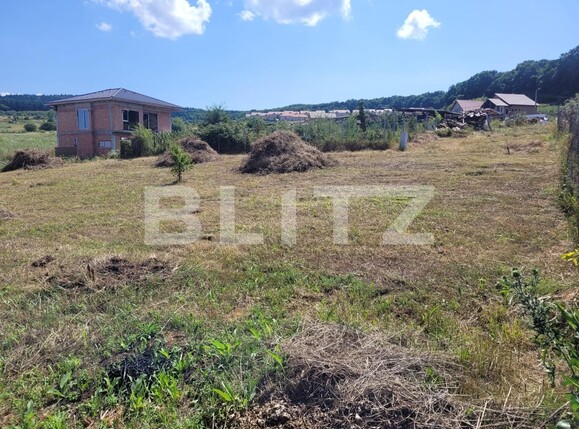 Teren de vânzare Chinteni - 126896TV | BLITZ Cluj-Napoca | Poza4