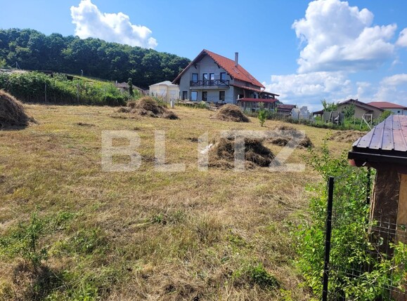 Teren de vânzare Chinteni - 126896TV | BLITZ Cluj-Napoca | Poza3