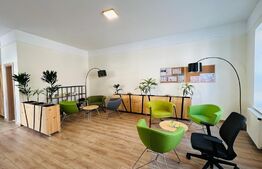 Casa individuala, 280 mp, parcari, zona Parcului Central