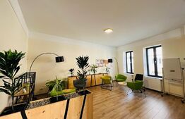 Casa individuala, 280 mp, parcari, zona Parcului Central