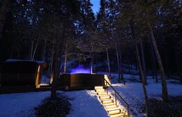 Casa exclusivistă, 530 mp, 1670 mp curte, parcare, zona Sat Vlaha