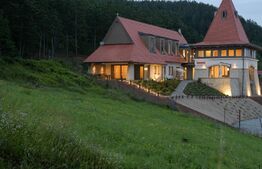 Casa exclusivistă, 530 mp, 1670 mp curte, parcare, zona Sat Vlaha