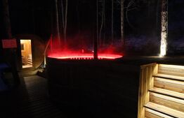 Casa exclusivistă, 530 mp, 1670 mp curte, parcare, zona Sat Vlaha