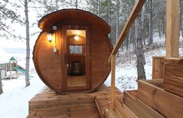 Casa exclusivistă, 530 mp, 1670 mp curte, parcare, zona Sat Vlaha